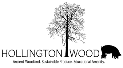 Hollington Wood
